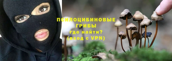 хмурый Алексин