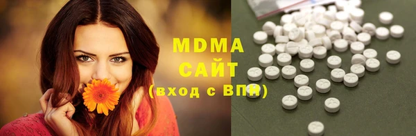 хмурый Алексин