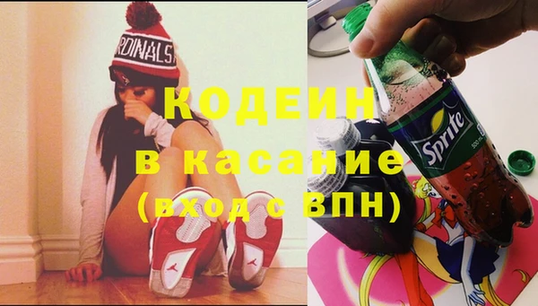 хмурый Алексин