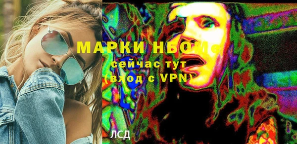 хмурый Алексин