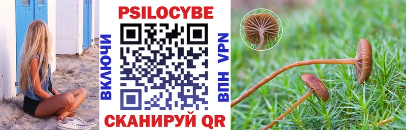 где купить наркоту  Выкса  Галлюциногенные грибы прущие грибы 